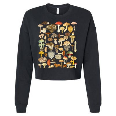 Mycology Fungi Foraging Mushroom Cropped Pullover Crew