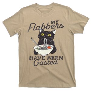 My Flabbers Have Been Gasted Distressed Retro Funny Cat T-Shirt