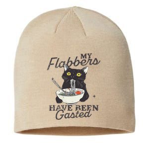 My Flabbers Have Been Gasted Distressed Retro Funny Cat Sustainable Beanie