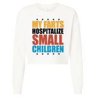 My Farts Hospitalize Small Children Funny Cropped Pullover Crew