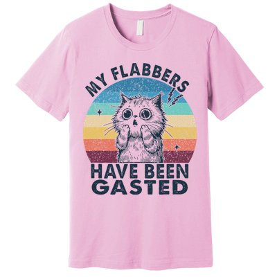 My Flabbers Have Been Gasted Premium T-Shirt