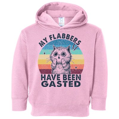 My Flabbers Have Been Gasted Toddler Hoodie