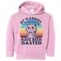 My Flabbers Have Been Gasted Toddler Hoodie