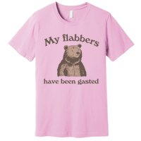 My Flabbers Have Been Gasted Premium T-Shirt