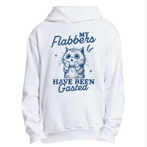 My Flabbers Have Been Gasted Distressed Urban Pullover Hoodie