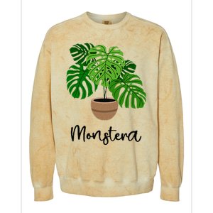 Monstera Flora Houseplant Gardener Plant Lover Colorblast Crewneck Sweatshirt