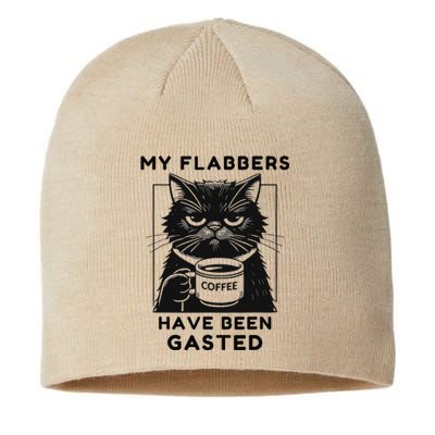 My Flabbers Have Been Gasted Distressed Retro Funny Cat Sustainable Beanie