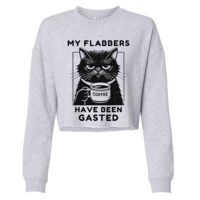 My Flabbers Have Been Gasted Distressed Retro Funny Cat Cropped Pullover Crew