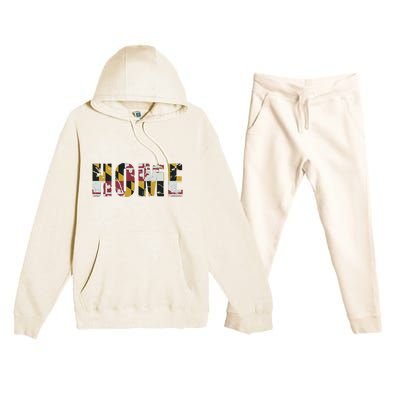 Maryland Flag Home Love Family Vintage Fade Premium Hooded Sweatsuit Set