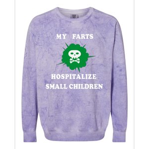 My Farts Hospitalize Small Funny Satire Dad Joke Meaningful Gift Colorblast Crewneck Sweatshirt