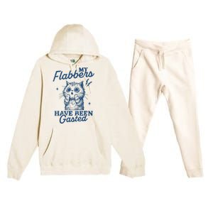 My Flabbers Have Been Gasted Distressed Retro Funny Cat Premium Hooded Sweatsuit Set