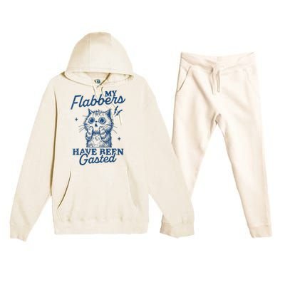 My Flabbers Have Been Gasted Distressed Retro Funny Cat Premium Hooded Sweatsuit Set