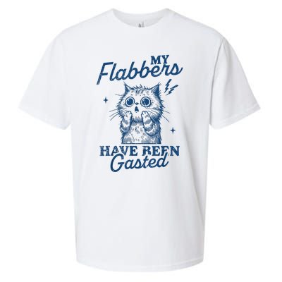 My Flabbers Have Been Gasted Distressed Retro Funny Cat Sueded Cloud Jersey T-Shirt