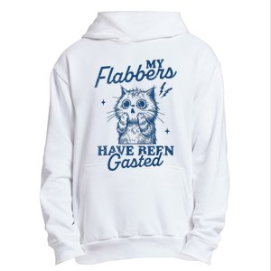 My Flabbers Have Been Gasted Distressed Retro Funny Cat Urban Pullover Hoodie