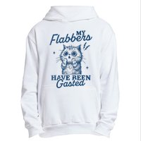 My Flabbers Have Been Gasted Distressed Retro Funny Cat Urban Pullover Hoodie