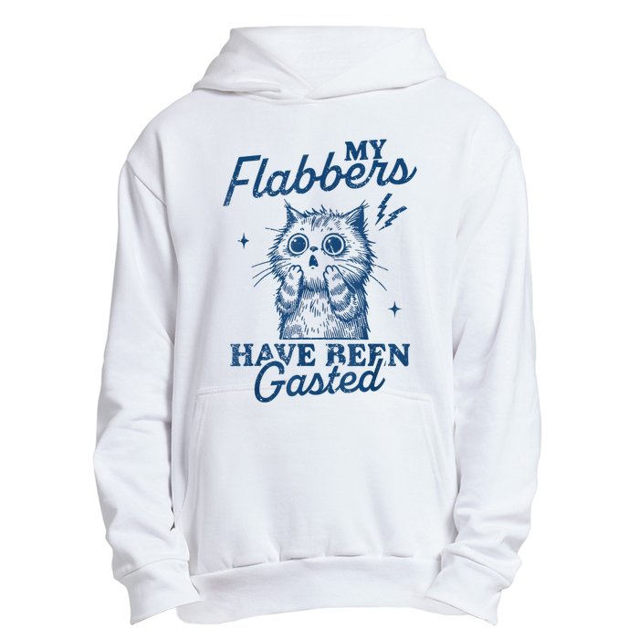 My Flabbers Have Been Gasted Distressed Retro Funny Cat Urban Pullover Hoodie