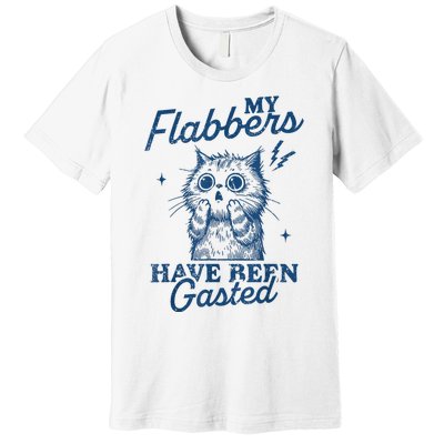 My Flabbers Have Been Gasted Distressed Retro Funny Cat Premium T-Shirt