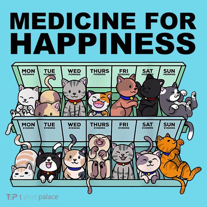 Medicine For Happiness Cat Lover Funny T-Shirt