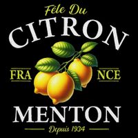 Menton France Lemon Festival Since 1934 White Lettering 16 in Basic Backpack