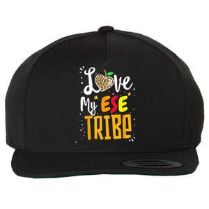 Matching First Last Day ESE Team Teacher Student Tribe Wool Snapback Cap