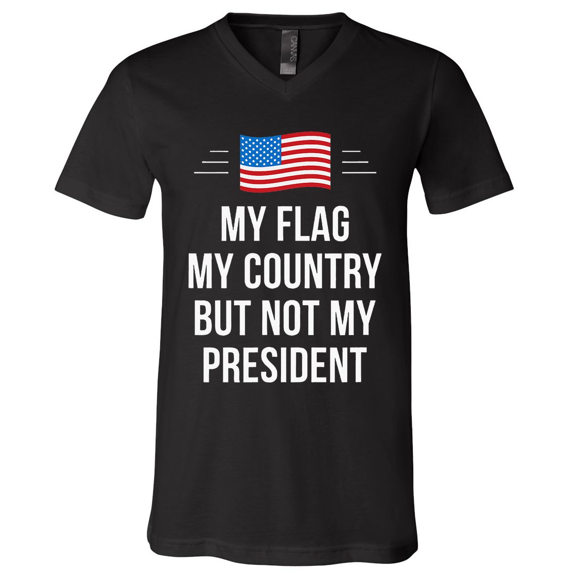 My Flag My Country But Not My President V-Neck T-Shirt