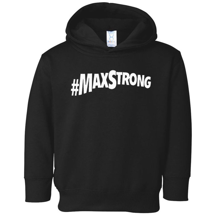 Maxstrong Freeman Toddler Hoodie