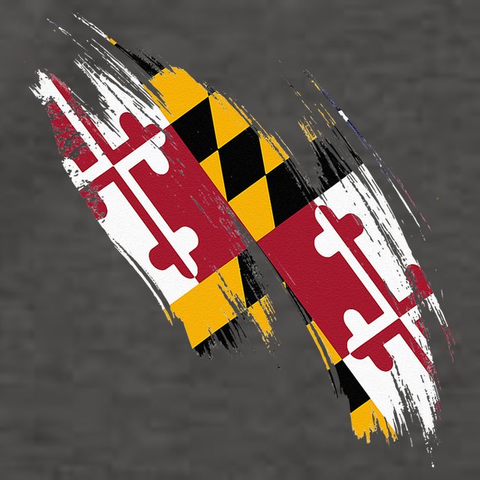Maryland Flag Marylander Maryland Flag State Pride Vector Backpack