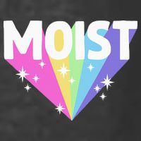 Moist Funny Meme Offensive Weird Cool Hilarious Humorous T-Shirt