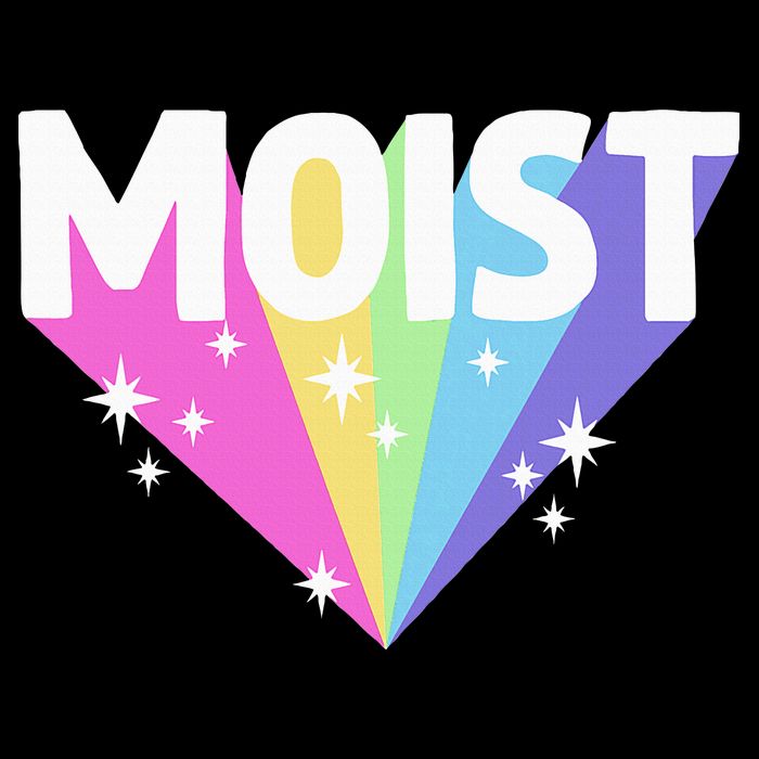 Moist Funny Meme Offensive Weird Cool Pom Pom 12in Knit Beanie