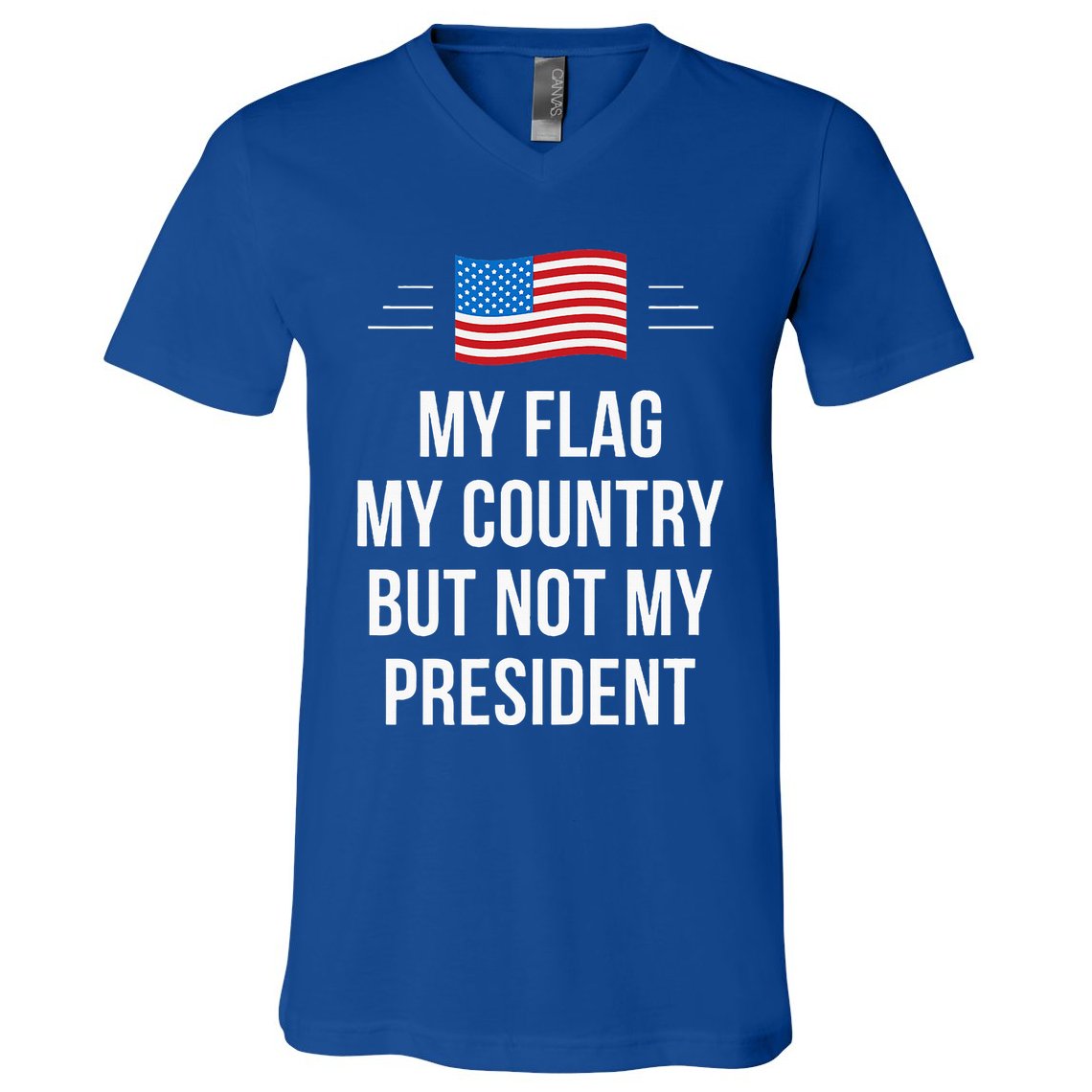 My Flag My Country But Not My President V-Neck T-Shirt