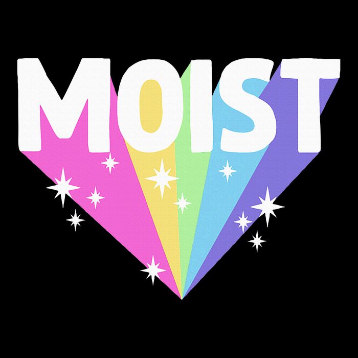 Moist Funny Meme Offensive Weird Cool Hilarious Humorous T-Shirt
