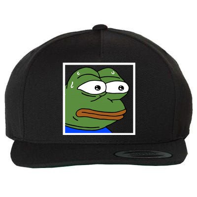 Monkah Frog Wool Snapback Cap