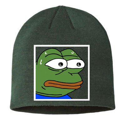 Monkah Frog Sustainable Beanie