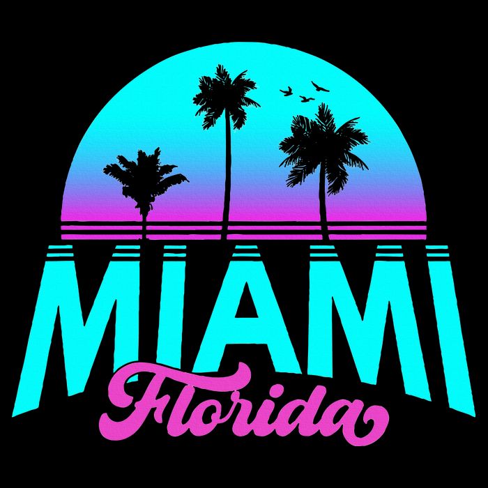 Miami Florida Sunset Impact Tech Backpack