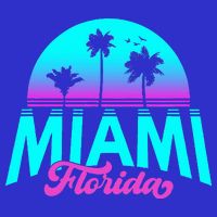Miami Florida Sunset 16 in Basic Backpack