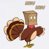 Meow Funny Thanksgiving Turkey Cat Lover Flatbill Hat