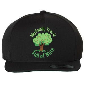 My Family Tree Is Full Of Nuts Reunion Crazy Families Gift Wool Snapback Cap