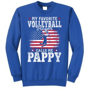 My Favorite Volleyball Player Calls Me Pappy Fathers Day Gift Sweatshirt