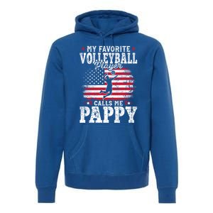 My Favorite Volleyball Player Calls Me Pappy Fathers Day Gift Premium Hoodie