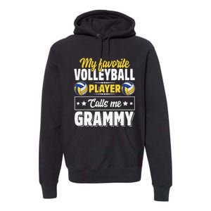 My Favorite Volleyball Player Calls Me Grammy Mother's Day Premium Hoodie