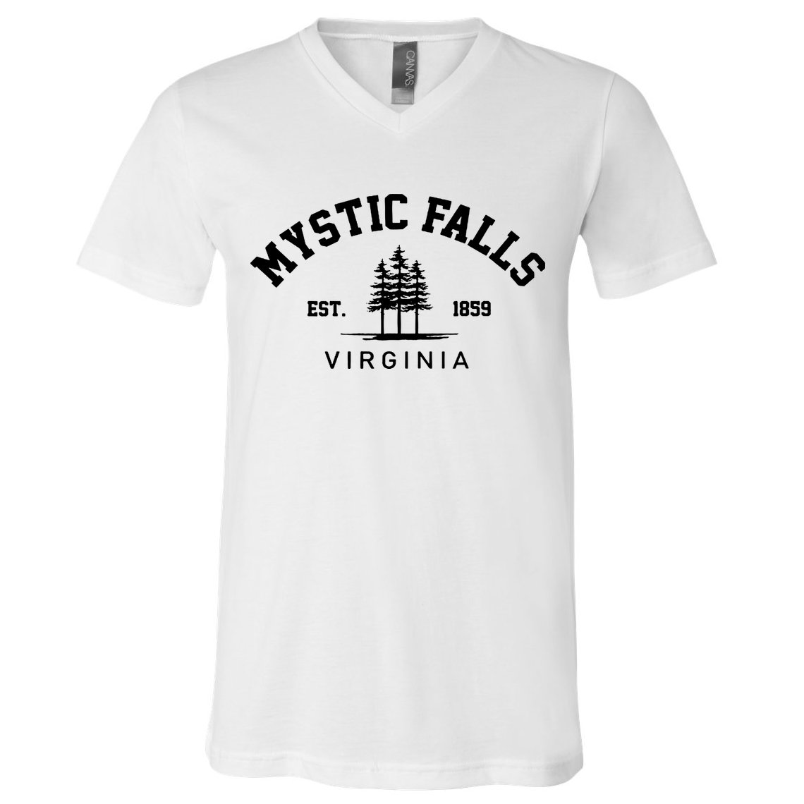 Mystic Falls Virginia Salvatore Stefan Damon Vampire Fan Gift V-Neck T-Shirt