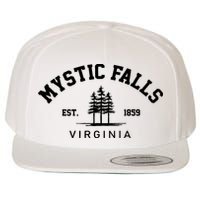 Mystic Falls Virginia Salvatore Stefan Damon Vampire Fan Gift Wool Snapback Cap