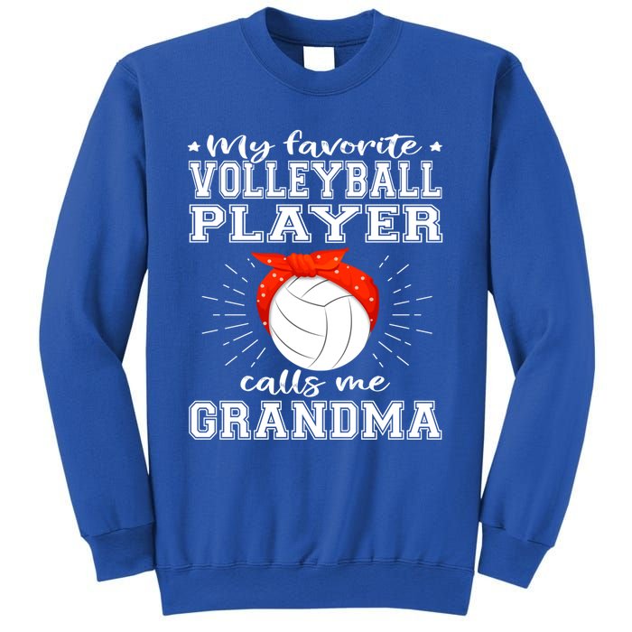 My Favorite Volleyball Player Calls Me Grandma Sport Family Gift Sweatshirt