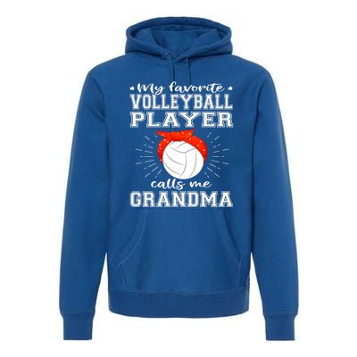 My Favorite Volleyball Player Calls Me Grandma Sport Family Gift Premium Hoodie