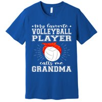 My Favorite Volleyball Player Calls Me Grandma Sport Family Gift Premium T-Shirt