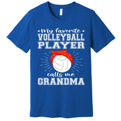 My Favorite Volleyball Player Calls Me Grandma Sport Family Gift Premium T-Shirt