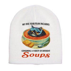 My Five Year Plan Includes Consuming A Variety Of Different Soups Short Acrylic Beanie