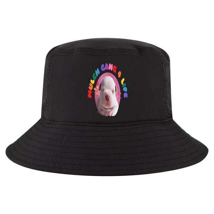 Mulch Gang 4 Life Funny Cool Comfort Performance Bucket Hat