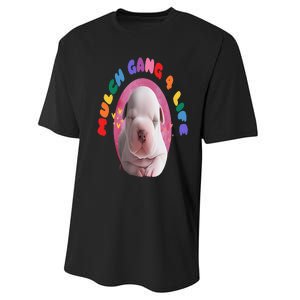 Mulch Gang 4 Life Funny Performance Sprint T-Shirt