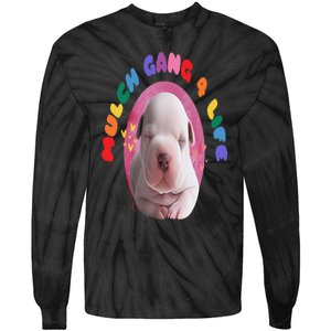 Mulch Gang 4 Life Funny Tie-Dye Long Sleeve Shirt